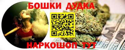 прущие грибы Абакан