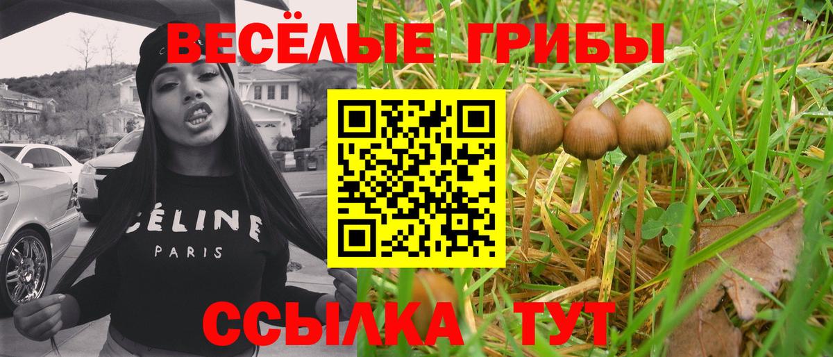 Усть-Кут  Галлюциногенные грибы мицелий  наркотики  Вход с VPN 